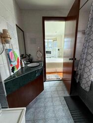 Braddell Heights Estate (D13), Detached #517075301